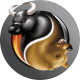 FXOpen logo